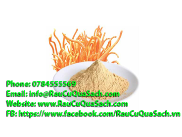 dong trung ha thao huu co